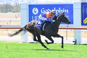 SURF'S UP FOR GOLD COAST BELLE